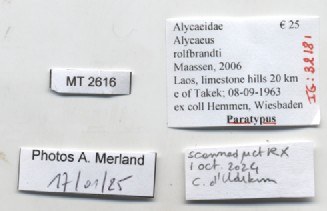 BE-RBINS-INV-MT-2616-Alycaeus-rolfbrandti-pt-label.jpg BE-RBINS-INV-MT-2616-Alycaeus-rolfbrandti-pt-label.jpg