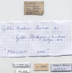 BE-RBINS-INV-MT-4269-Cyclotus-ternatanus-type-label.jpg BE-RBINS-INV-MT-4269-Cyclotus-ternatanus-type-label.jpg