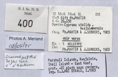 BE-RBINS-INV-MT-400-Cypraea-stolida-kwajaleinensis-ht-label.jpg