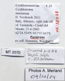 BE-RBINS-INV-MT-2570-Cochlostoma-mariannae-pt-label.jpg