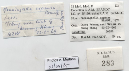 BE-RBINS-INV-MT-283-Manningiella-expansa-pt-label.jpg