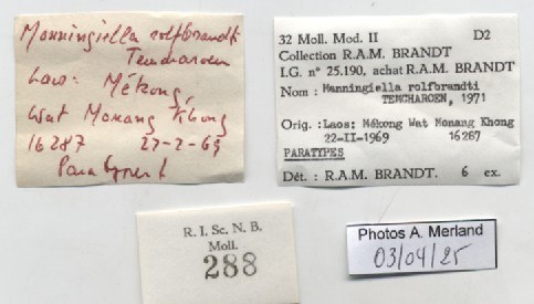 BE-RBINS-INV-MT-288-Manningiella-rolfbrandti-pt-label.jpg