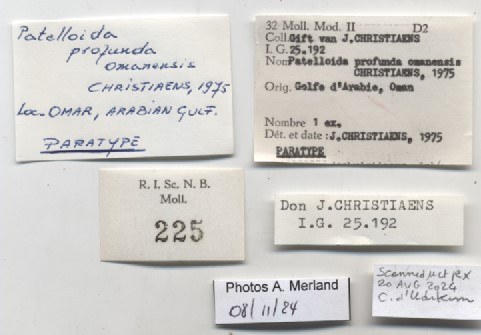 BE-RBINS-INV-MT-225-Patelloida-profunda-omanensis-pt-label.jpg BE-RBINS-INV-MT-225-Patelloida-profunda-omanensis-pt-label.jpg