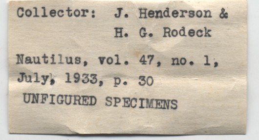 BE-RBINS-INV-MT-3224-Stagnicola-elrodi-pt-label2.jpg