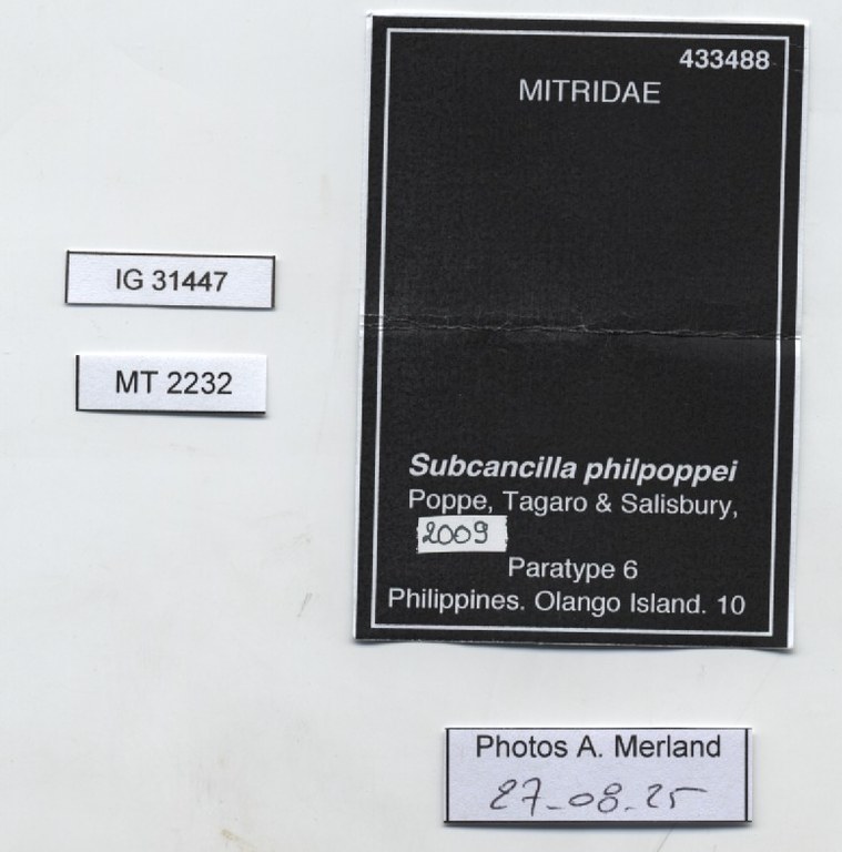 BE-RBINS-INV-MT-2232-Subcancilla-philpoppei-pt-label.jpg BE-RBINS-INV-MT-2232-Subcancilla-philpoppei-pt-label.jpg