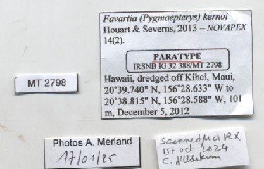 BE-RBINS-INV-MT-2798-Favartia-(Pygmaepterys)-kernoi-pt-label.jpg BE-RBINS-INV-MT-2798-Favartia-(Pygmaepterys)-kernoi-pt-label.jpg