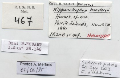 BE-RBINS-INV-MT-467-Nipponotrophon-bondarevi-ht-label.jpg BE-RBINS-INV-MT-467-Nipponotrophon-bondarevi-ht-label.jpg