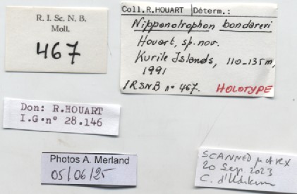 BE-RBINS-INV-MT-467-Nipponotrophon-bondarevi-ht-label.jpg