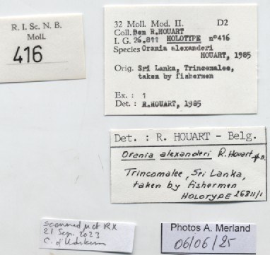 BE-RBINS-INV-MT-416-Orania-alexanderi-ht-label.jpg