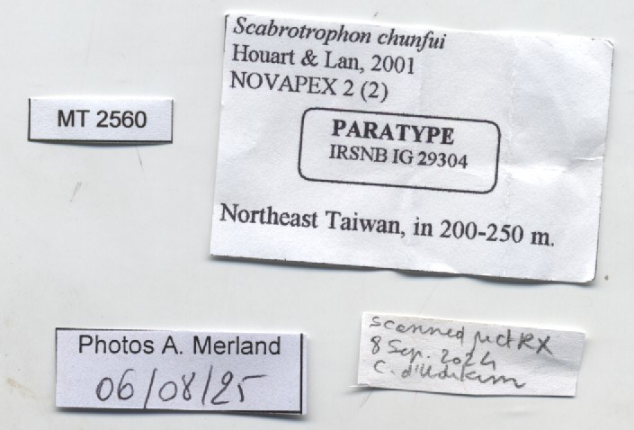 BE-RBINS-INV-MT-2560-Scabrotrophon-chunfui-pt-label.jpg