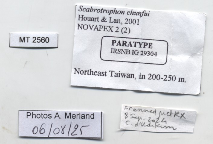 BE-RBINS-INV-MT-2560-Scabrotrophon-chunfui-pt-label.jpg