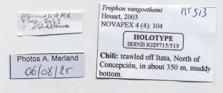 BE-RBINS-INV-MT-513-Trophon-vangoethemi-ht-label.jpg