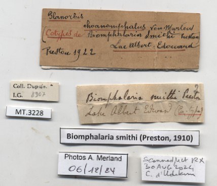 BE-RBINS-INV-MT-3228-Biomphalaria-smithi-st-label.jpg