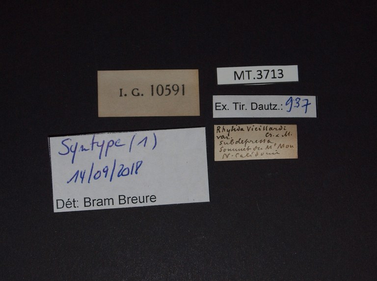 BE-RBINS-INV SYNTYPE MT.3713 Rhytida vieillardi var. subdepressa LABELS.jpg