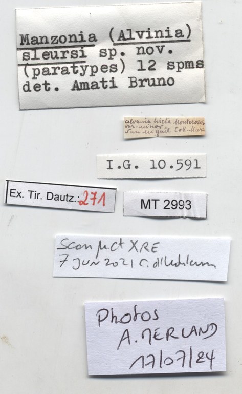 BE-RBINS-INV-MT-2993-Manzonia-(Alvinia)-sleursi-pt-label.jpg