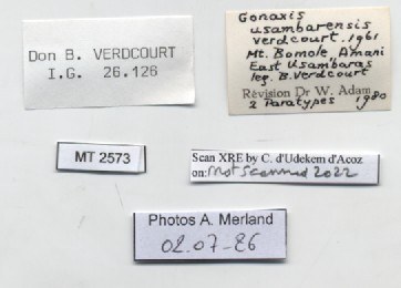 BE-RBINS-INV-MT-2573-Gonaxis-usambarensis-pt-label.jpg