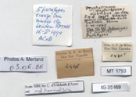 BE-RBINS-INV-MT-1753-Ptychotrema-(Haplonepion)-upembae-pt-label.jpg