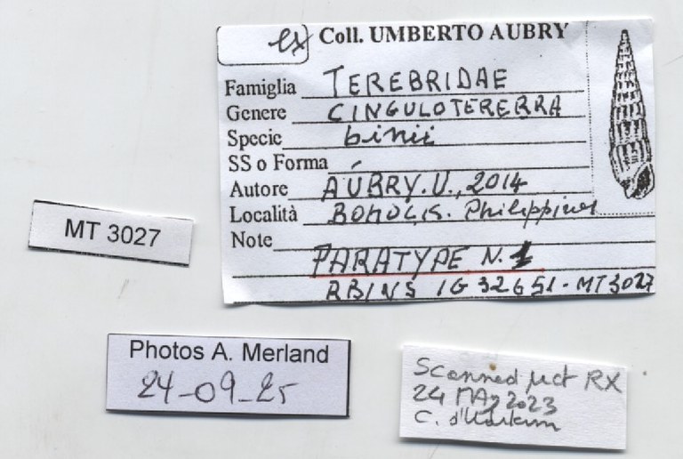 BE-RBINS-INV-MT-3027-Cinguloterebra-binii-pt-label.jpg BE-RBINS-INV-MT-3027-Cinguloterebra-binii-pt-label.jpg