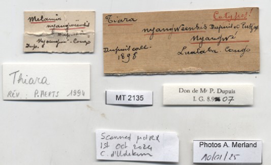 BE-RBINS-INV-MT-2135-Thiara-nyangweensis-st-label.jpg