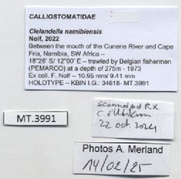 BE-RBINS-INV-MT-3991-Clelandella-namibiensis-ht-label.jpg BE-RBINS-INV-MT-3991-Clelandella-namibiensis-ht-label.jpg