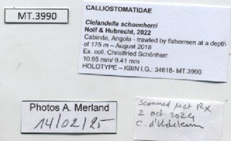 BE-RBINS-INV-MT-3990-Clelandella-schoenherri-ht-label.jpg BE-RBINS-INV-MT-3990-Clelandella-schoenherri-ht-label.jpg