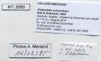 BE-RBINS-INV-MT-3990-Clelandella-schoenherri-ht-label.jpg
