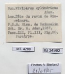 BE-RBINS-INV-MT-4288-Viviparus-cylindricus-pt-label.jpg