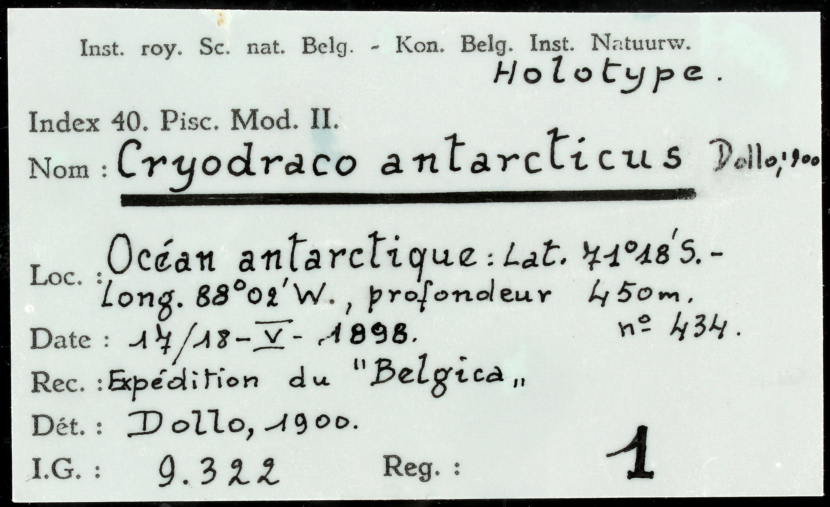 1 Cryodraco antarcticus 9322 ticket.JPG